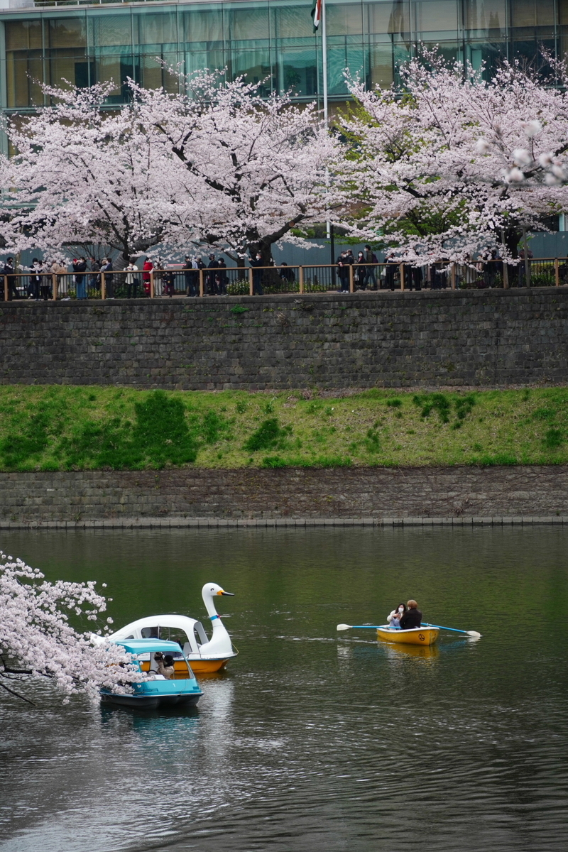 f:id:arashi_golf:20220402151416j:plain