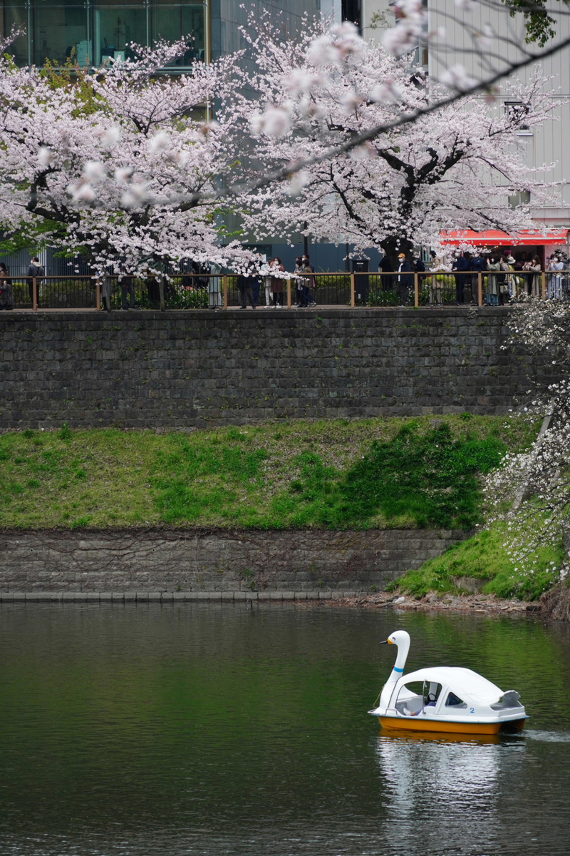 f:id:arashi_golf:20220402220356j:plain