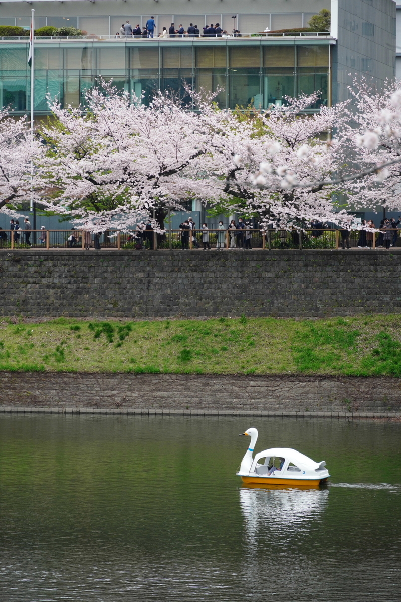 f:id:arashi_golf:20220402220657j:plain