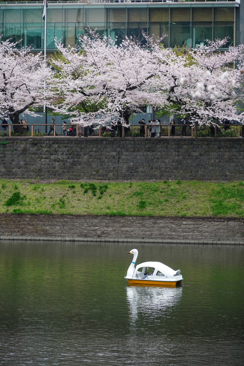 f:id:arashi_golf:20220402220826j:plain