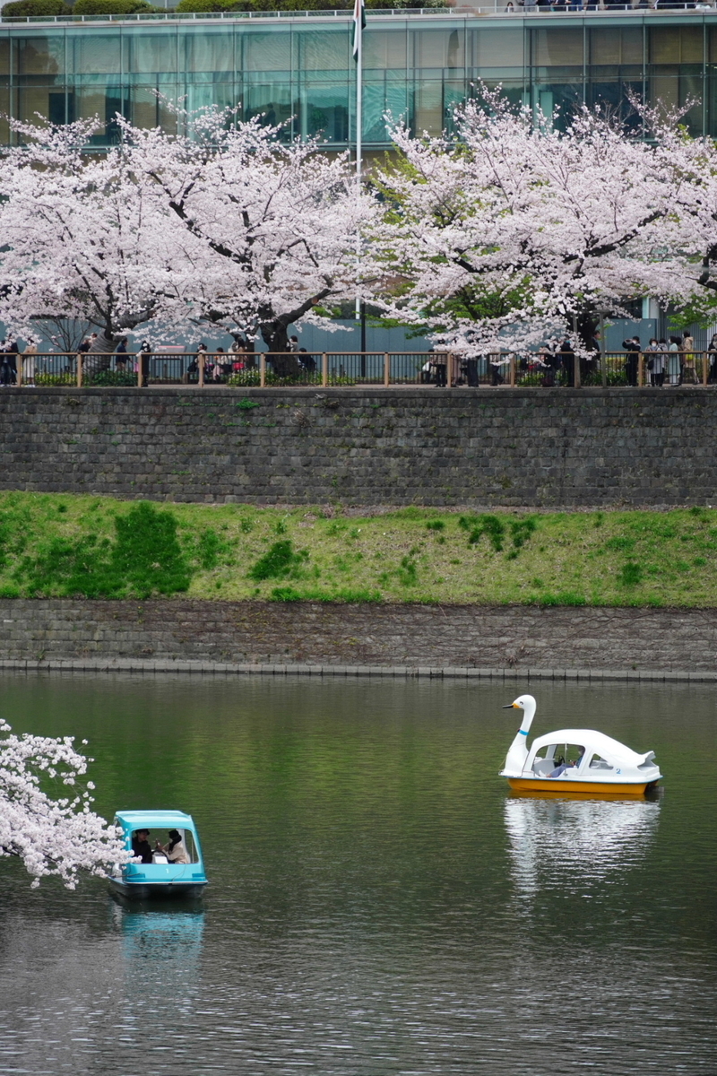 f:id:arashi_golf:20220402220905j:plain