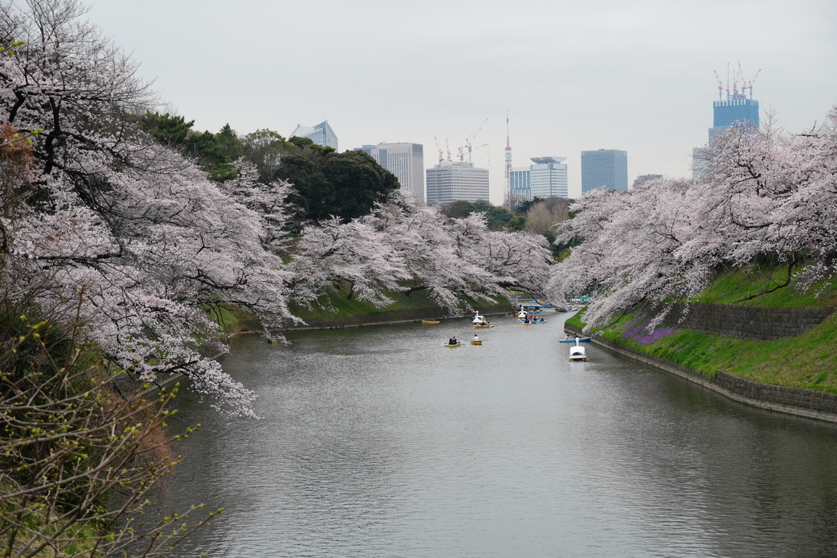 f:id:arashi_golf:20220402221427j:plain
