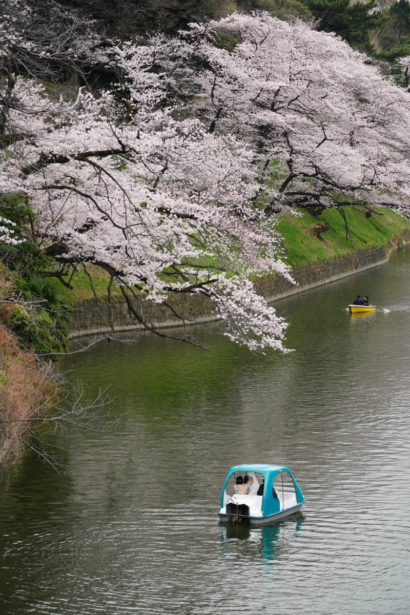 f:id:arashi_golf:20220402221734j:plain