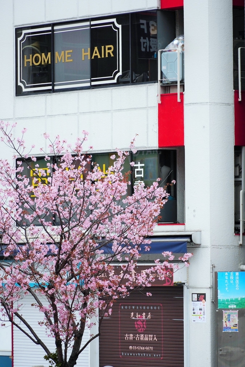 f:id:arashi_golf:20220405213713j:plain