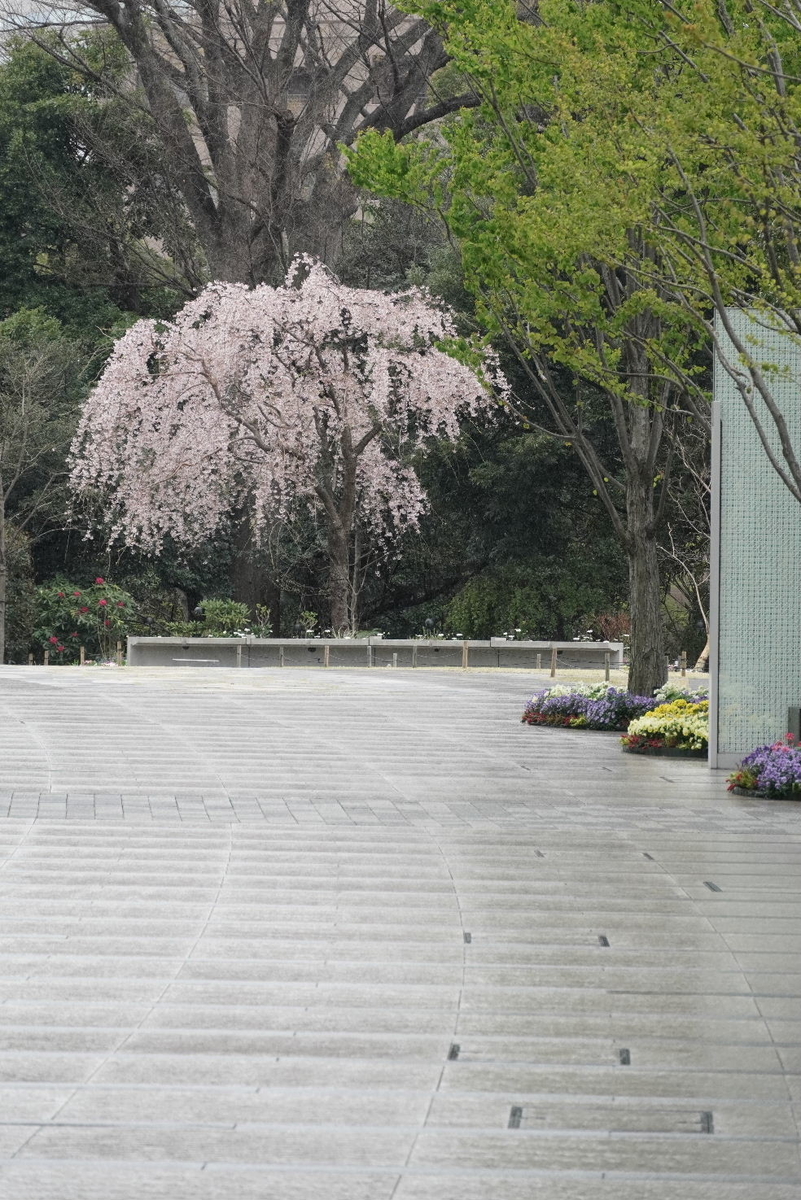 f:id:arashi_golf:20220411220145j:plain