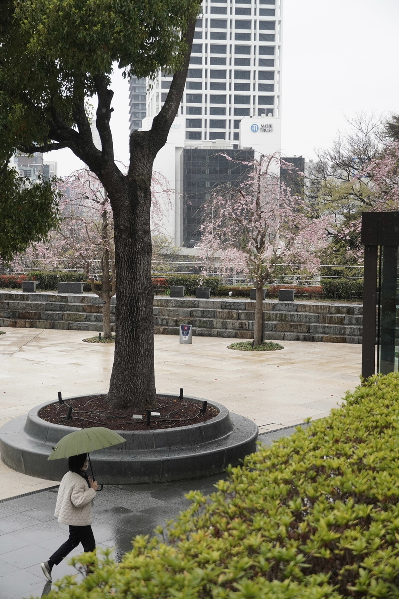 f:id:arashi_golf:20220411220841j:plain