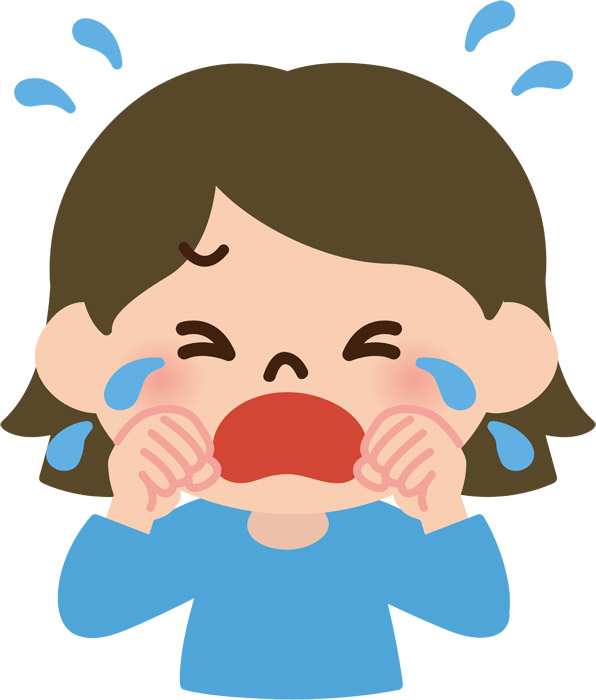 f:id:arashibokaro:20190309232049j:plain