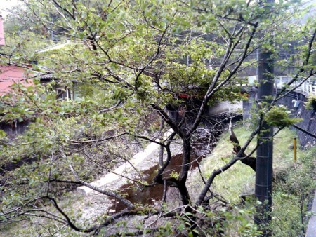 f:id:arashifurumoto:20110505185154j:image