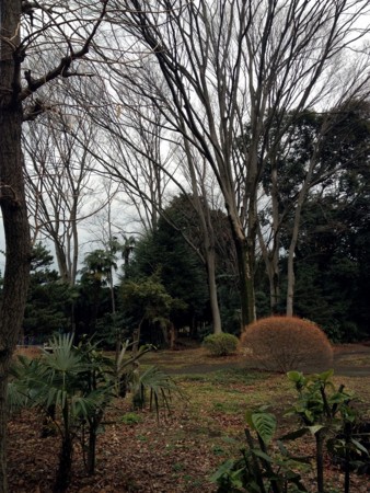 f:id:arashifurumoto:20120310225946j:image:w640