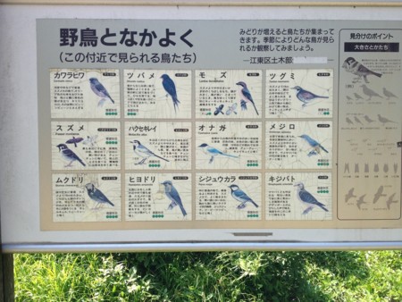 f:id:arashifurumoto:20120704230051j:image:w640