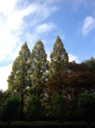 f:id:arashifurumoto:20121112145723j:image:w640