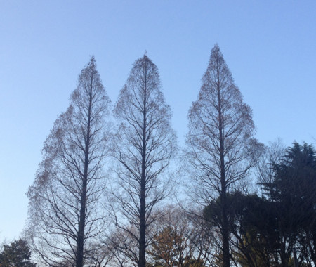 f:id:arashifurumoto:20130111155157j:image:w640