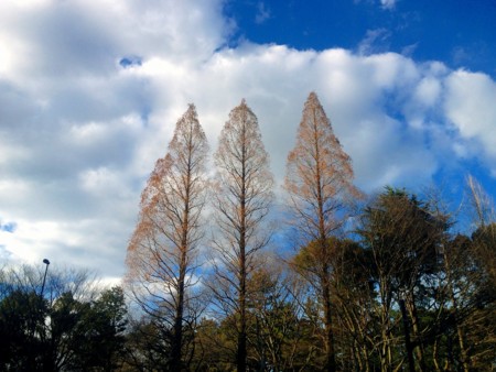 f:id:arashifurumoto:20150201103715j:image:w640