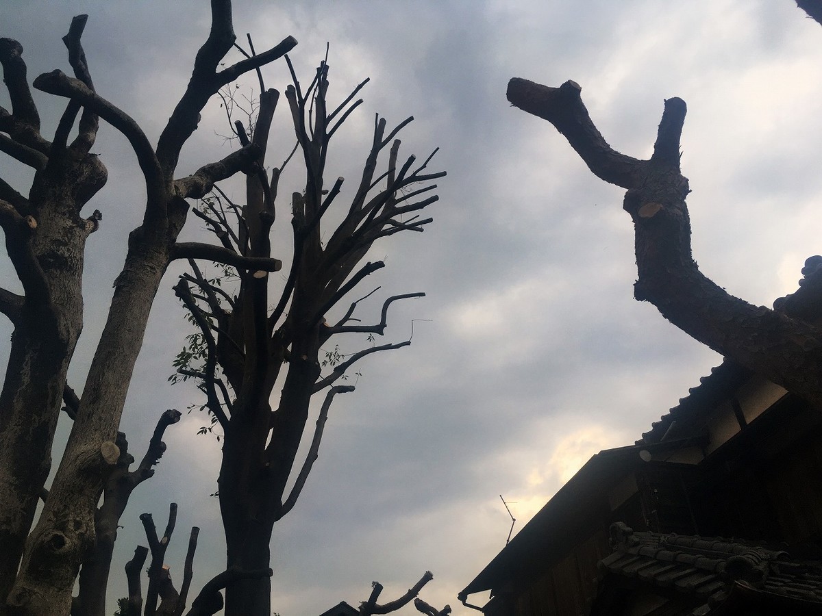 f:id:arashifurumoto:20190501223249j:plain f:id:arashifurumoto:20190501223249j:plain