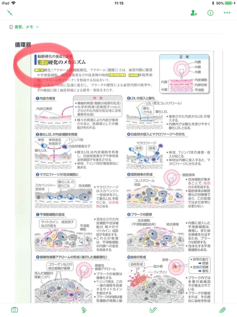 f:id:aratalog:20180807080557j:plain