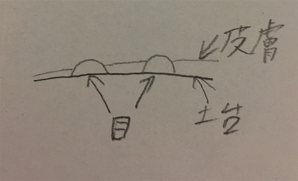 f:id:aratananews:20191103213854j:image f:id:aratananews:20191103213854j:image