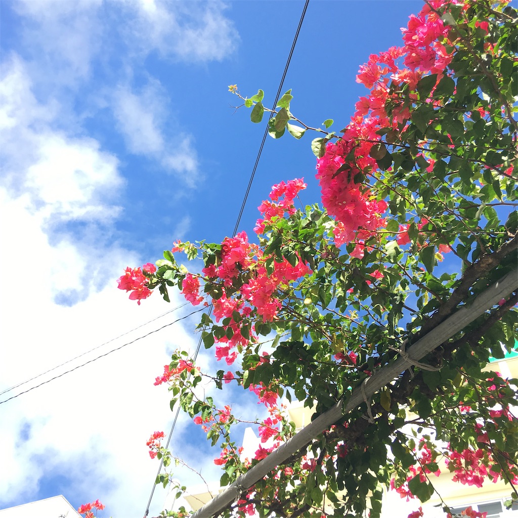 f:id:aratax:20190913124814j:image f:id:aratax:20190913124814j:image