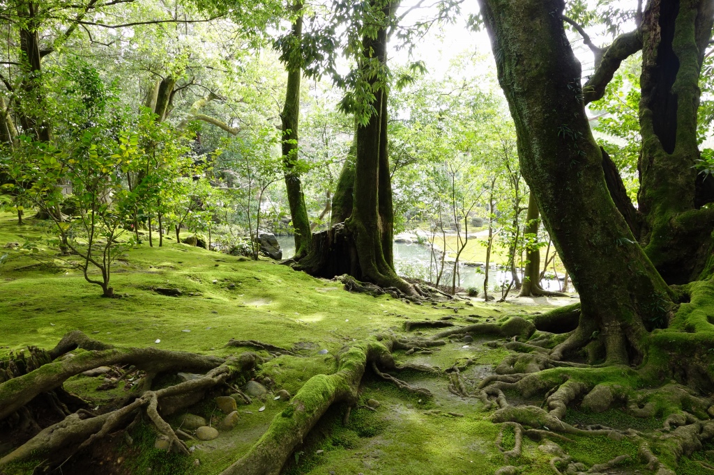 f:id:aratoshi:20170312140347j:plain