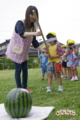 スイカ割り大会（秋田県秋田市の楽しい幼稚園　新屋幼稚園）食育