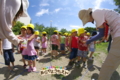 ダイコン種まき（秋田県秋田市の楽しい幼稚園　新屋幼稚園）食育