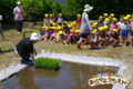 田植え（秋田県秋田市の楽しい幼稚園　新屋幼稚園）食育