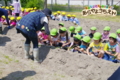 サツマイモ苗植え（秋田県秋田市の楽しい幼稚園　新屋幼稚園）食育