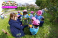 柿もぎ（秋田県秋田市の楽しい幼稚園　新屋幼稚園）食育