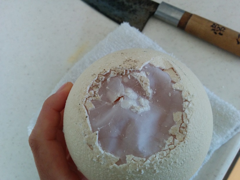 f:id:arazarukyouto:20180408192439j:plain