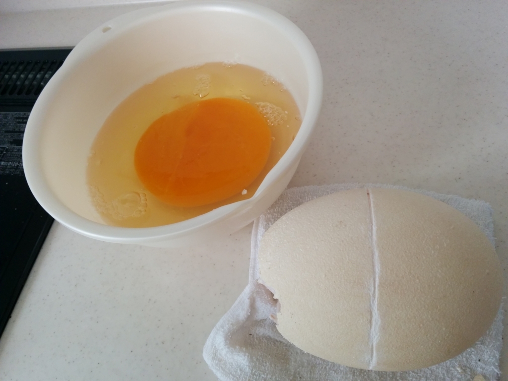 f:id:arazarukyouto:20180408192527j:plain