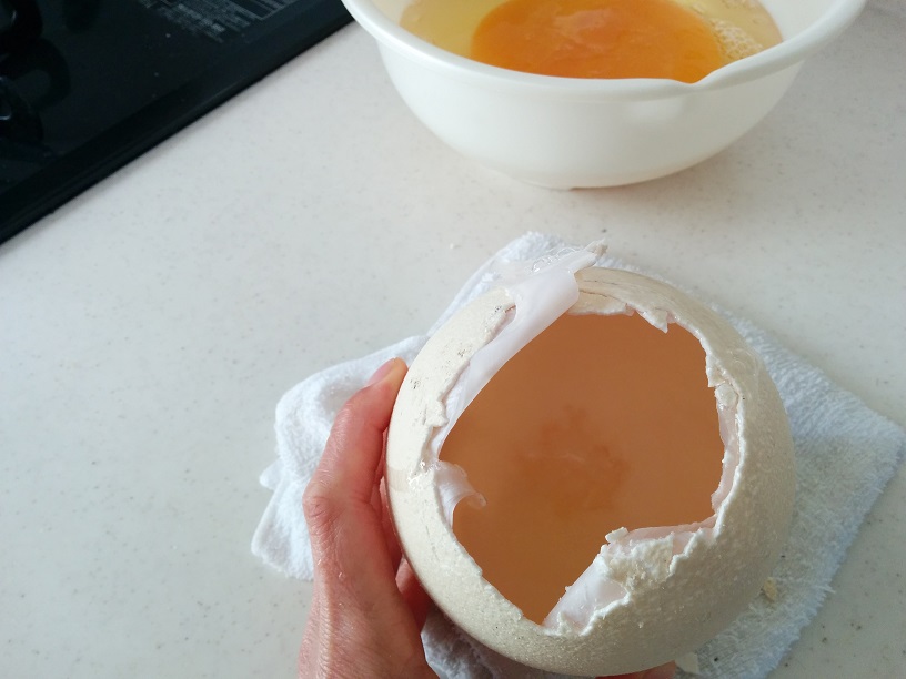 f:id:arazarukyouto:20180408192720j:plain