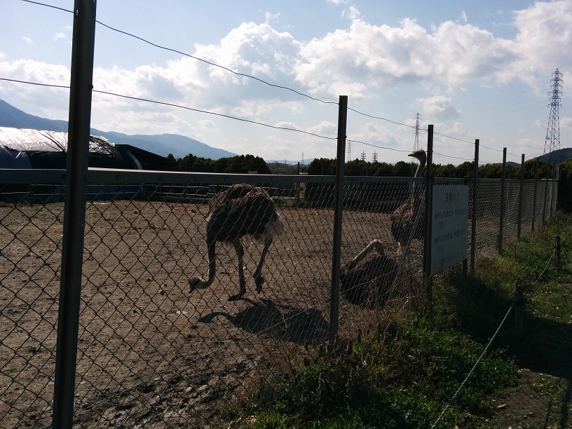 f:id:arazarukyouto:20180408193703j:plain