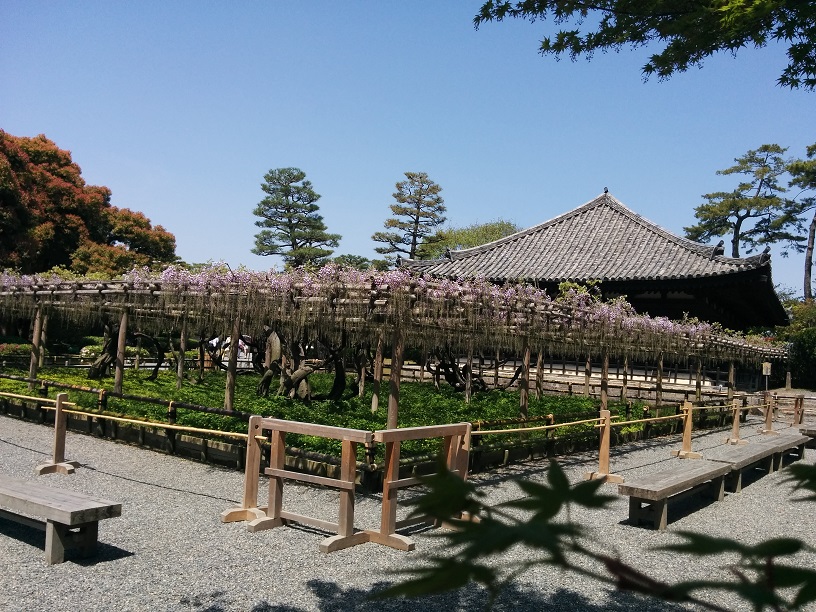 f:id:arazarukyouto:20180413153745j:plain f:id:arazarukyouto:20180413153745j:plain