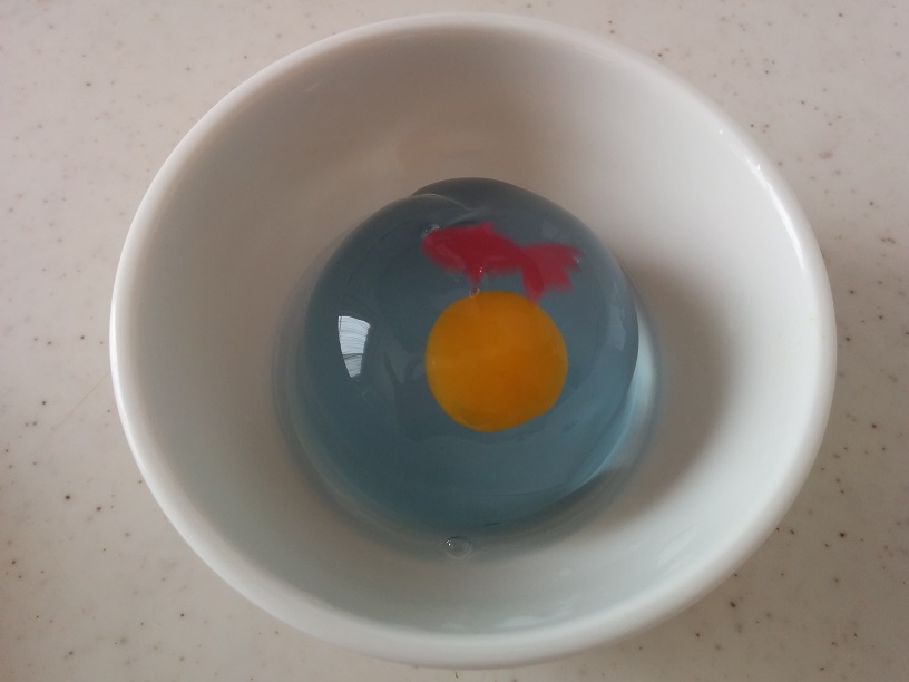 f:id:arazarukyouto:20180413172037j:plain f:id:arazarukyouto:20180413172037j:plain