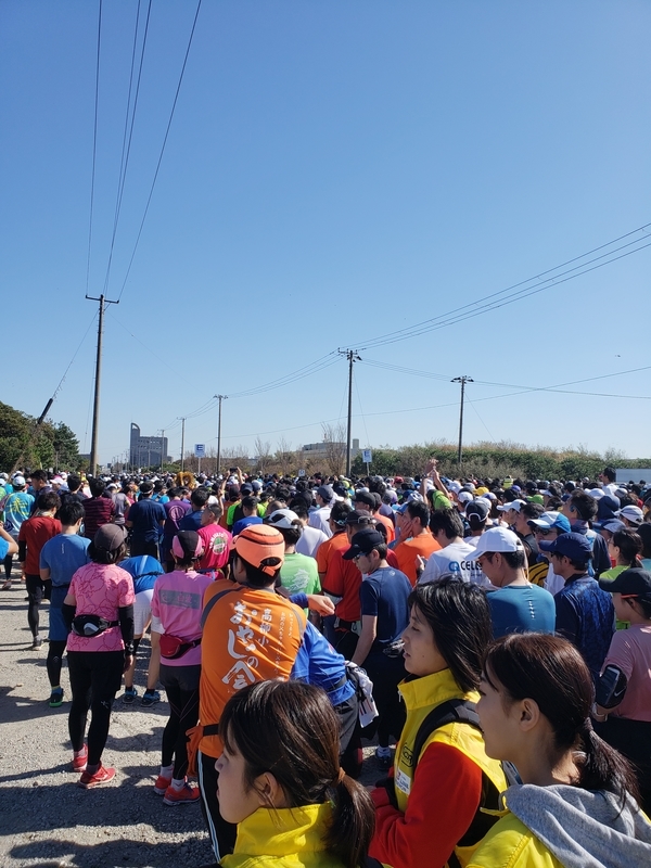 f:id:arbitrager84:20181022161138j:plain f:id:arbitrager84:20181022161138j:plain