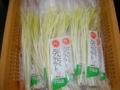20120316103503