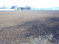 20130125130048