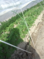 20130228095931