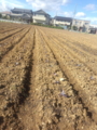 20130403153025