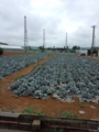 20130620110122