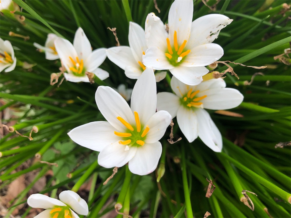 f:id:arcadia1017:20191029005537j:image f:id:arcadia1017:20191029005537j:image