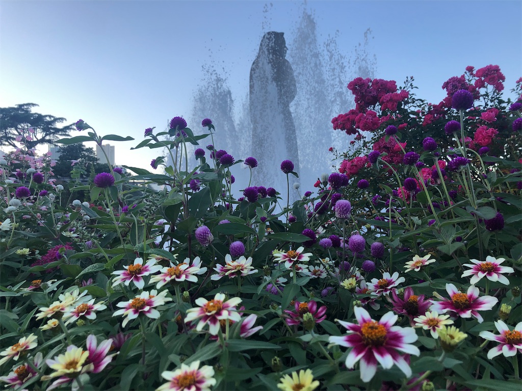 f:id:arcadia1017:20201106165617j:image f:id:arcadia1017:20201106165617j:image