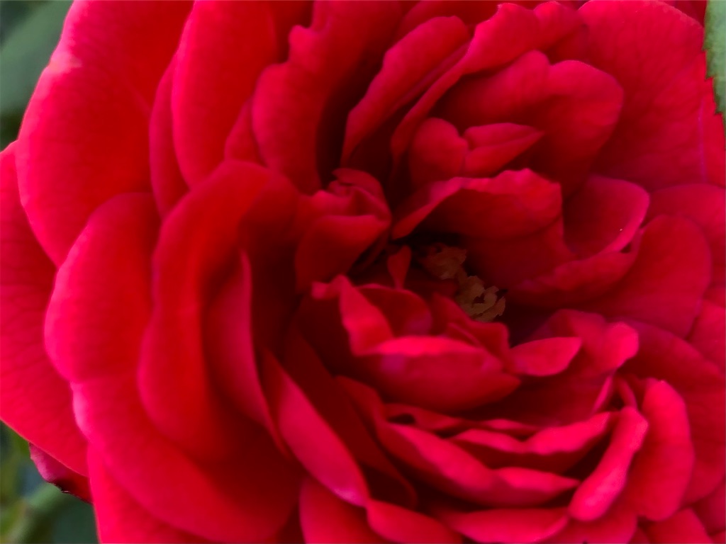 f:id:arcadia1017:20210916220126j:image f:id:arcadia1017:20210916220126j:image