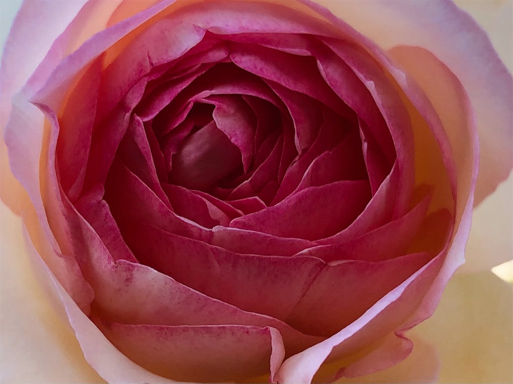 f:id:arcadia1017:20211029081332j:image f:id:arcadia1017:20211029081332j:image