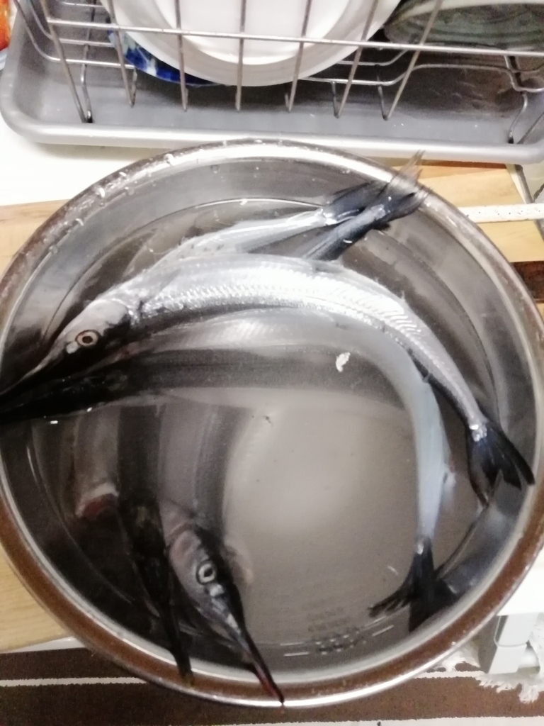 f:id:arcanum_jp:20190116212251j:plain