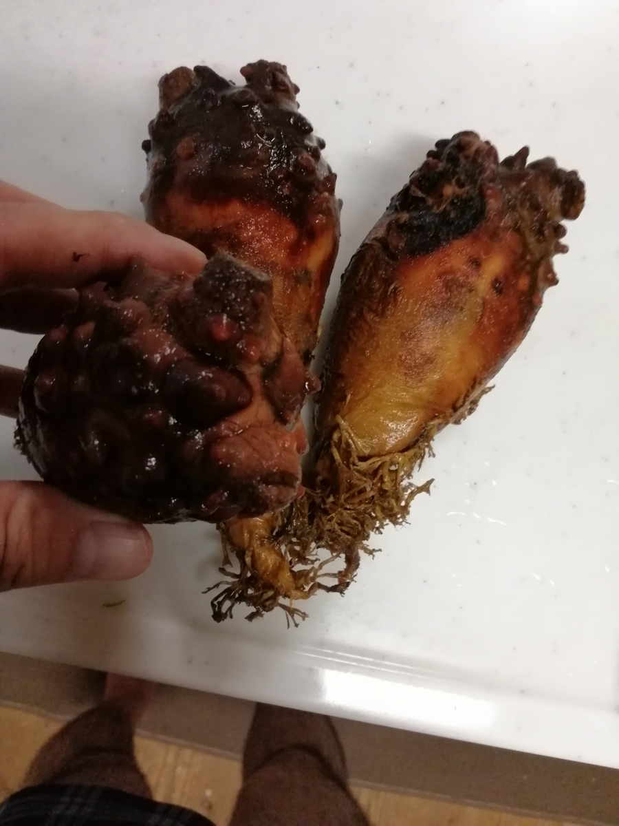 ホヤたまご と言う謎の料理を作ってみた Arcanum Jp S Blog