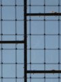 20090603145258