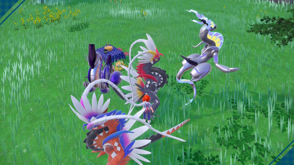 ポケモンSV】色違いミラコラ配布！！ - 弓チョコのポケモンブログ