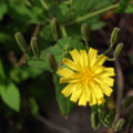 20091027125751