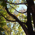20091114141309