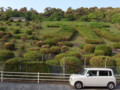 20100504170101
